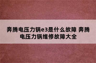 奔腾电压力锅e3是什么故障 奔腾电压力锅维修故障大全